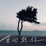 寥聊 #037 来回拉扯