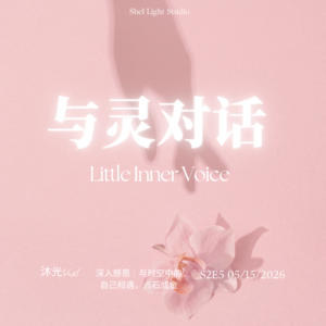S2E5 深入感恩｜与时空中的自己相遇，点石成金