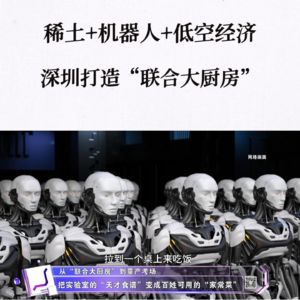 第317集 稀土+机器人+低空经济，深圳打造“联合大厨房”