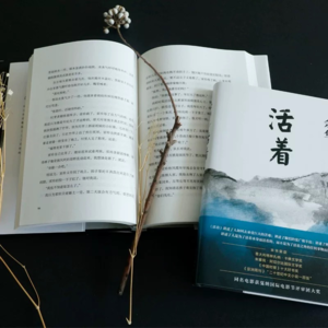 Vol14.《活着》——生命的力量，在苦难中绽放