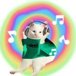 AMeow_Chan