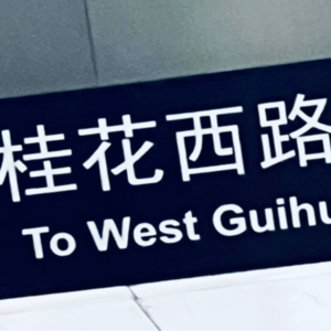 11 2024,你很棒了,很辛苦但是很棒了