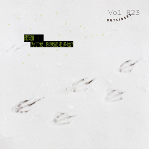 Vol.023 雨珈：为了爱，你我能走多远？——《观鸟大年》译后记