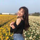 HD157696p
