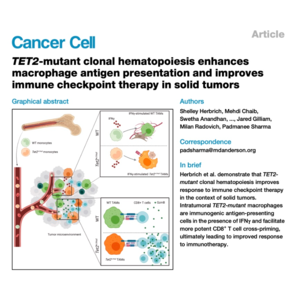 196-TET2-Mutant Hematopoiesis Enhances ICT Response