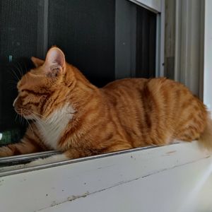 001 读《天真的人类学家》