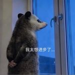 奇T奇
