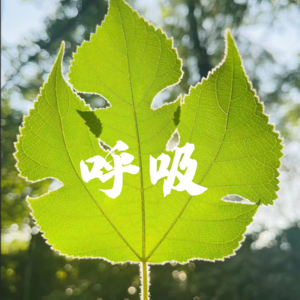 Vol58 呼吸｜迷走神经之谜