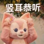 淇淇妙妙