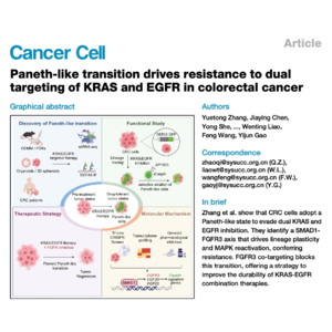 327-Paneth Plasticity in KRAS Colorectal Cancer