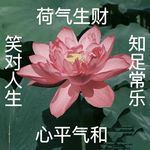 momo_1234567