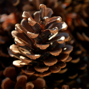 EP208 跨资产协方差矩阵的收缩方法