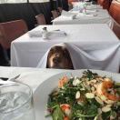 yuanmore