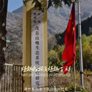 茂县,守护67年的“生态福地”|植趣地图