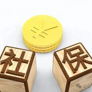 社保新规：强制缴纳与社会影响