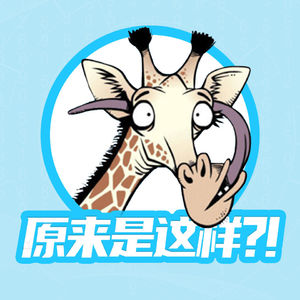 562：真正的鸽子，比我靠谱多了