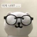 先当两天盆栽试试看