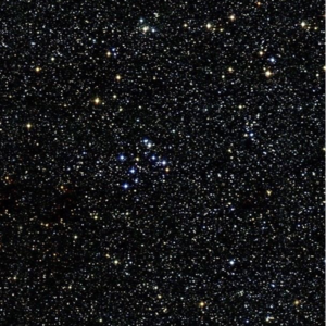 013|夜里有腐烂的梦,梦里有重复的人