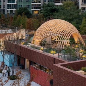 E06. 700块不一样的木头，可以长出一枚蛋壳吗？