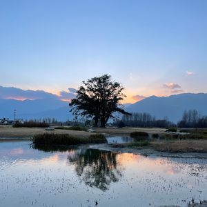 No.129 - 都市定心丸：单不单身都是生活给我们的礼物