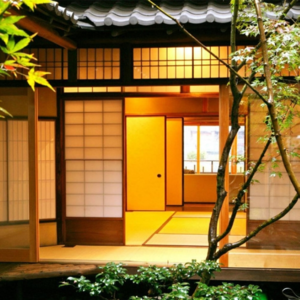 【直播回听】2026-4-4时尚的早春三月