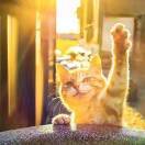 呦小熊猫