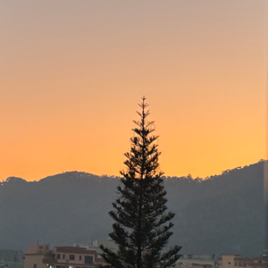 在深圳650租金的单间里，我生活得很幸福