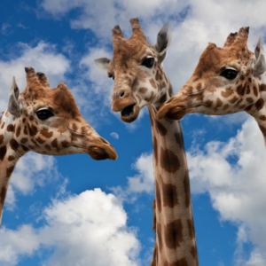 2025年5-8月｜Part 2 印象深刻的谈话