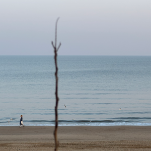 No.14 Solo | 独自邂逅阿那亚：是逃离还是疗愈