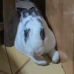 在地球搞点学习