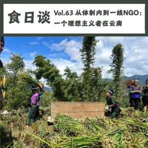 从体制内到一线NGO：一个理想主义者在云南 | Vol.63