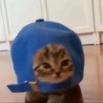 头疼之有人总窃取我的智慧