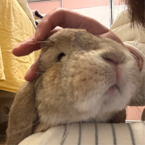 五星的喜欢是无需犹豫的一眼心动 📅 Dec.6