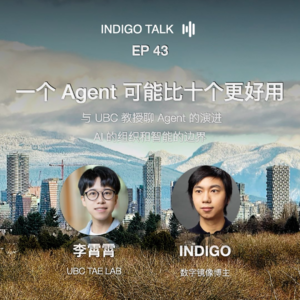 一个 Agent 可能比十个更好用 - Indigo Talk EP43