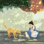 来野很幸运