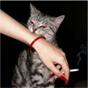 阿尔吉侬algernon