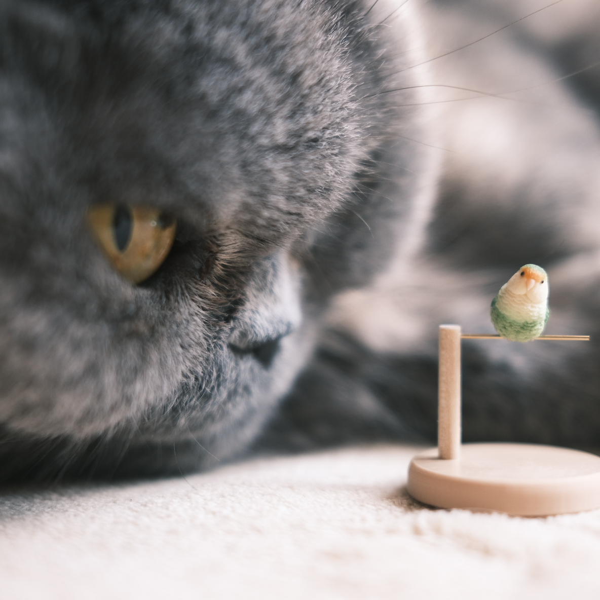 过刊081：面斥不雅，请读空气