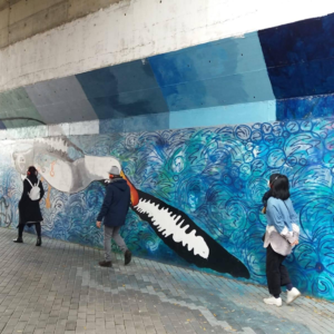 #16 播种记忆,收获心念