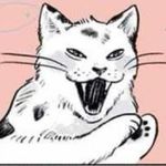 老赵_xrlf