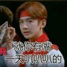 松果皮皮