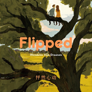 《怦然心动》四丨那些错过的美好让你的生命更完整