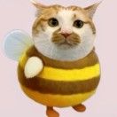 Zz喳喳喳