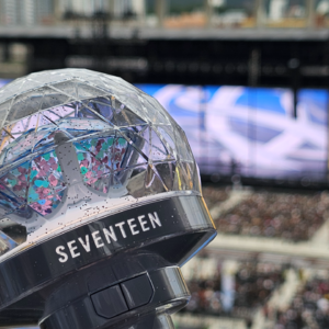 “因为你们，我很幸福”有什么痛苦等我9月份看完两场SEVENTEEN的线下演唱会再说