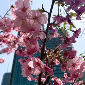 podcaster-avatar