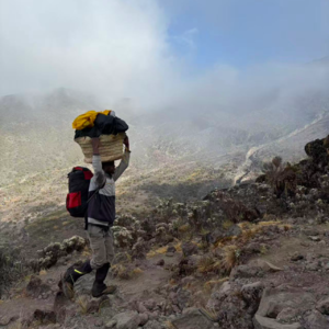 Vol.1 坦桑尼亚（上）：攀登乞力马扎罗，勇闯咖啡种植园！