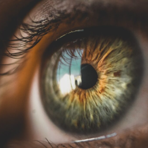 Vol.2 与万物沉浮于生长之门