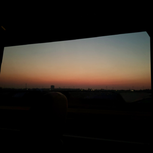 13.我怀疑，黄昏中有某种成瘾性的致幻物质