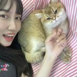 桃桃是只小猫咪