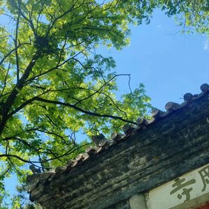 尔生不凡讲《了凡四训》