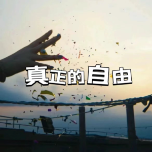 No.11 所以什么才是真正的自由啊?